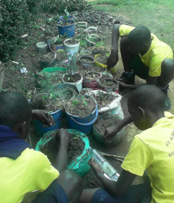 school-gardening-project-uganda-07