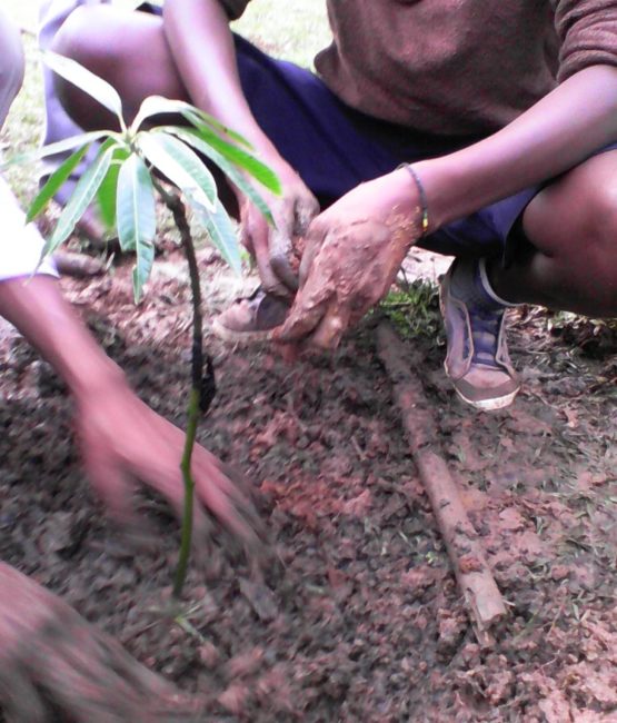 school-gardening-project-uganda-08